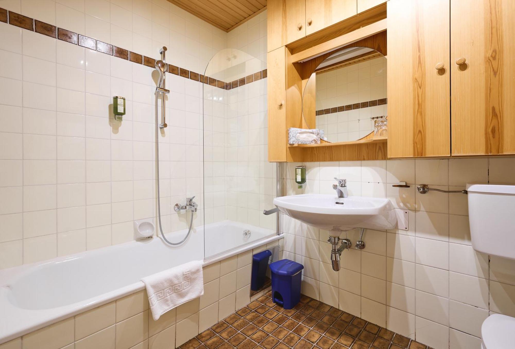 Alpina Living Zirbenstrasse Apartment Obertauern